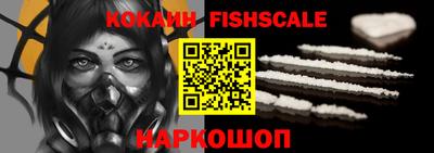 крисы Можга