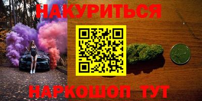 крисы Можга
