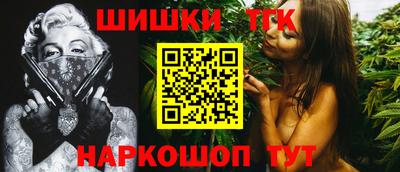 крисы Можга