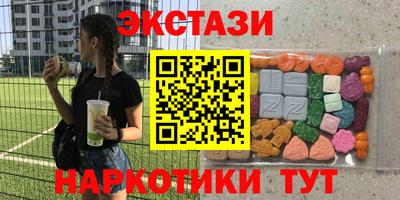 крисы Можга
