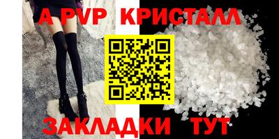 крисы Можга