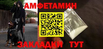 крисы Можга