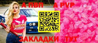крисы Можга
