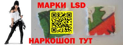 крисы Можга