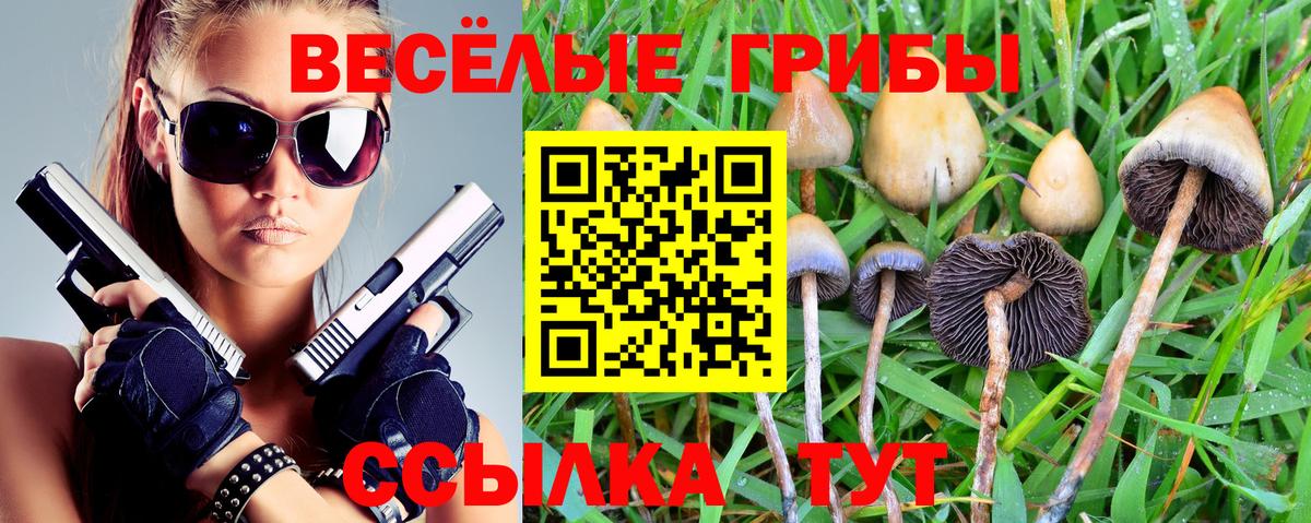 Псилоцибиновые грибы Psilocybe Ставрополь